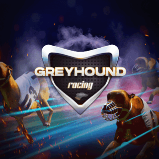Virtual Greyhounds icon